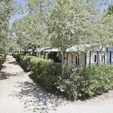 Camping Village Free Time Marina Di Bibbona